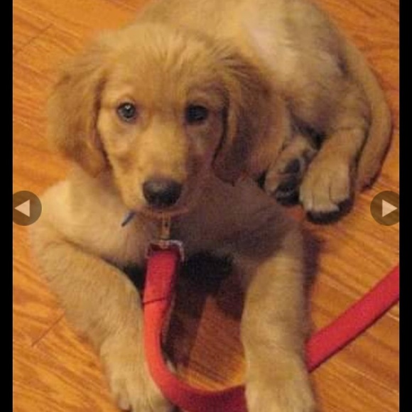 Meet your Posher - Picture 2 of 2